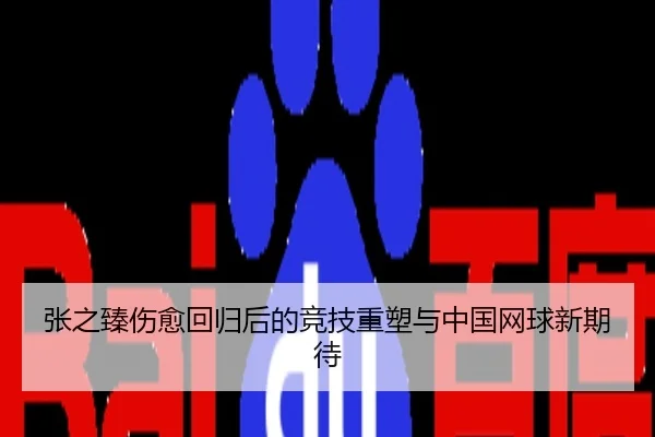 张之臻伤愈回归后的竞技重塑与中国网球新期待