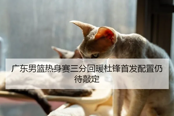 广东男篮热身赛三分回暖杜锋首发配置仍待敲定